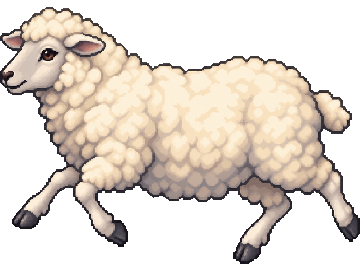 Sheep